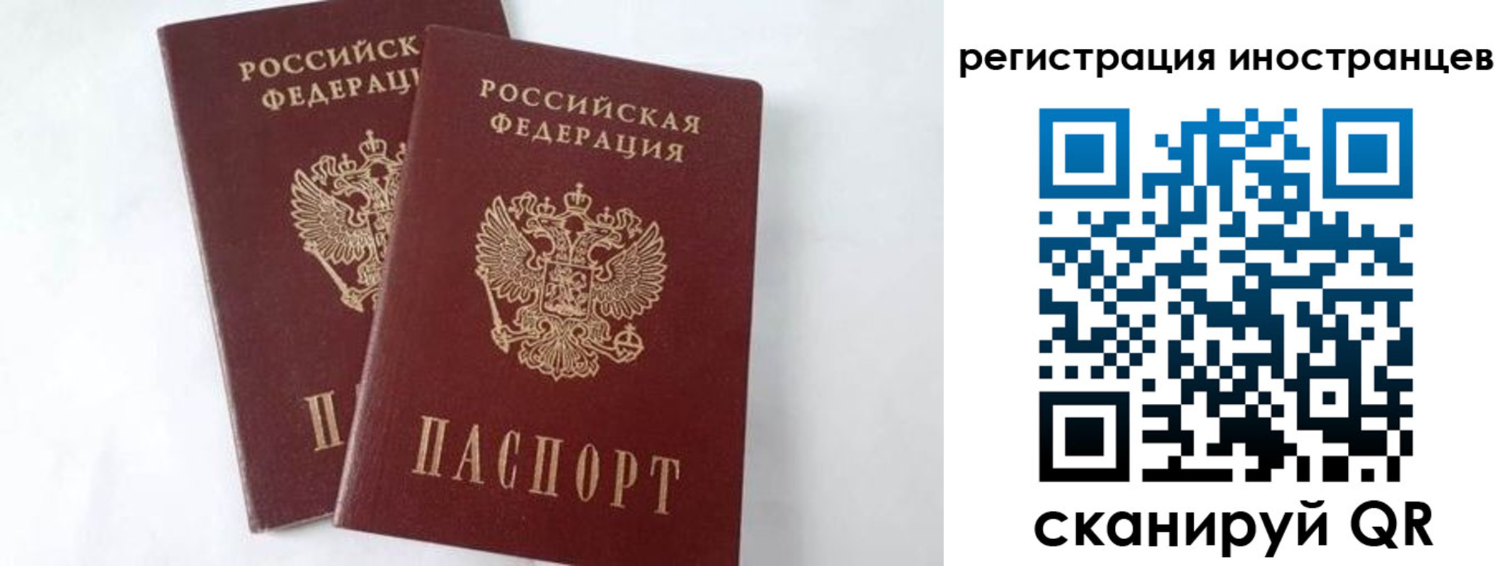 регистрация для школы в Гусь-Хрустальном